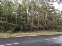 Działka budowlana Karolew. Zdjęcie 2