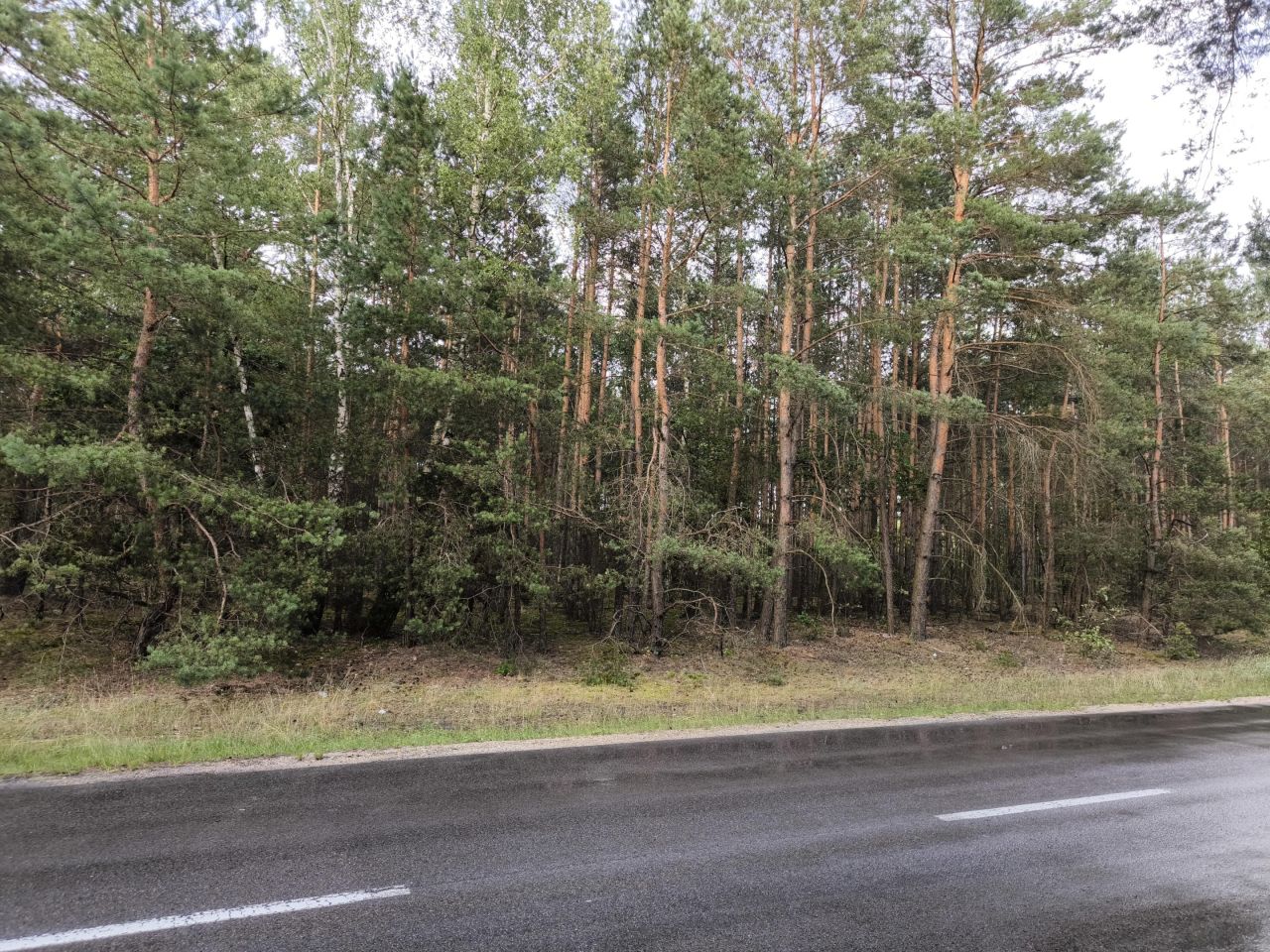 Działka budowlana Karolew. Zdjęcie 3