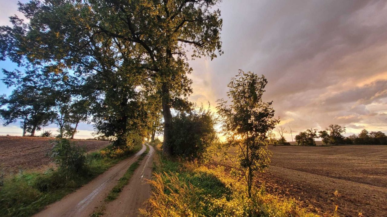Działka siedliskowa Tolniki Małe. Zdjęcie 4