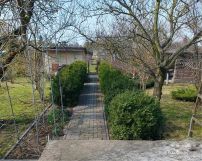 Działka rod Ciechanów. Zdjęcie 3