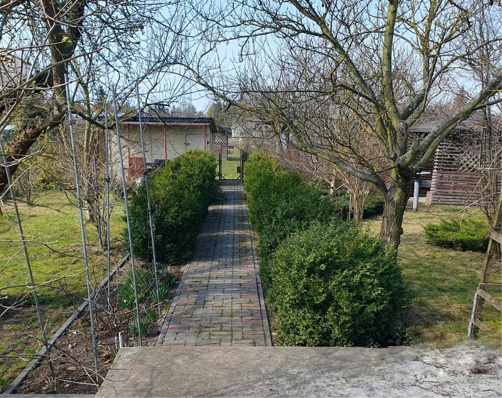 Działka rod Ciechanów. Zdjęcie 4