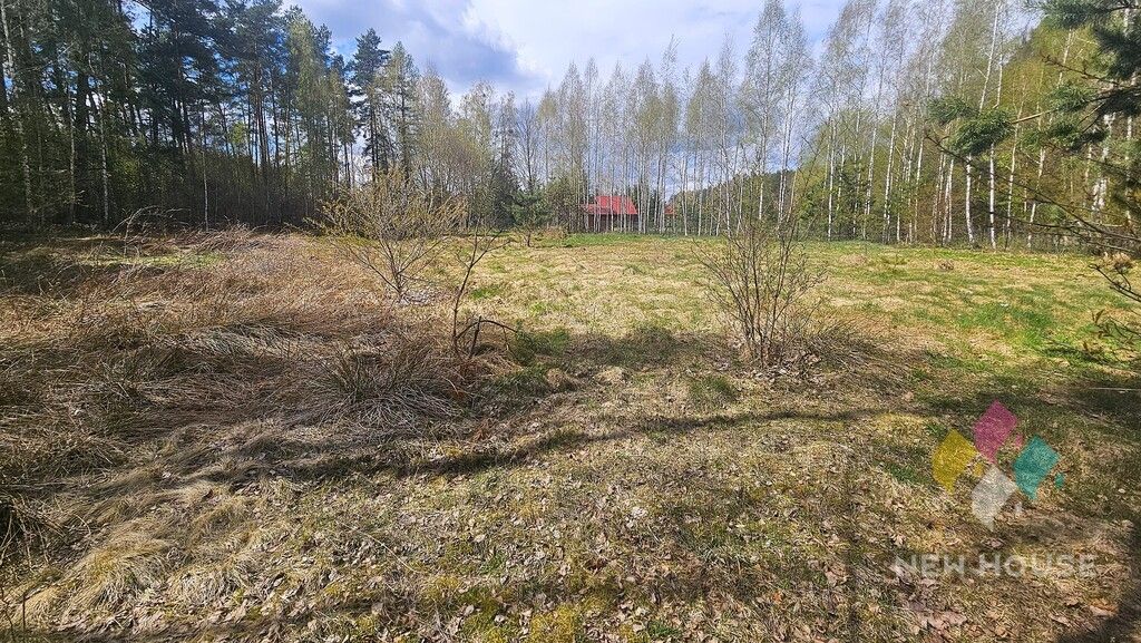 Działka leśna Świętajno, ul. Grunwaldzka. Zdjęcie 9