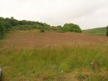 Działka rolno-budowlana Swarzewo, ul. Rybacka. Zdjęcie 1