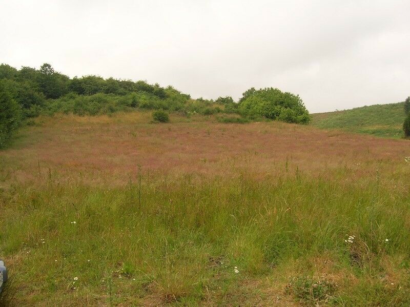 Działka rolno-budowlana Swarzewo, ul. Rybacka. Zdjęcie 2