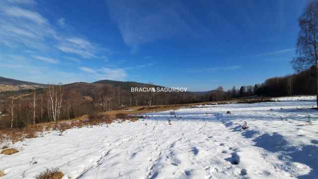 Działka leśna Stryszawa. Zdjęcie 5