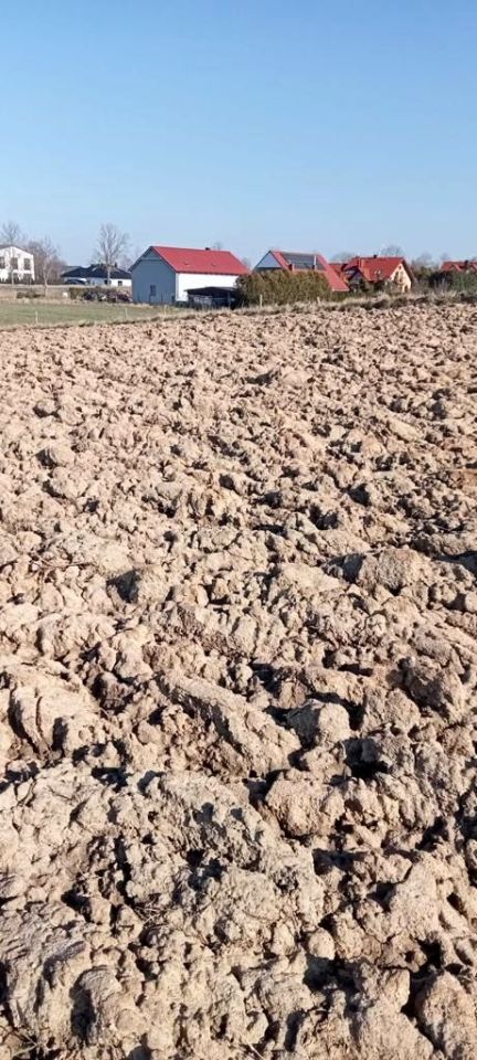 Działka budowlana Niekanin. Zdjęcie 5