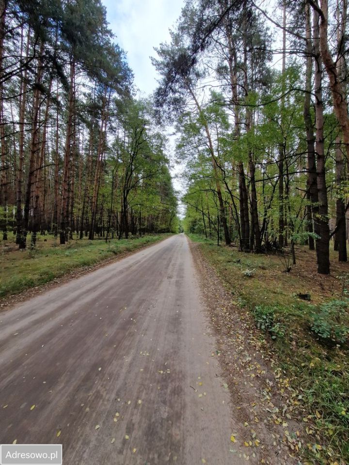 Działka Miastko, ul. Klonowa. Zdjęcie 4