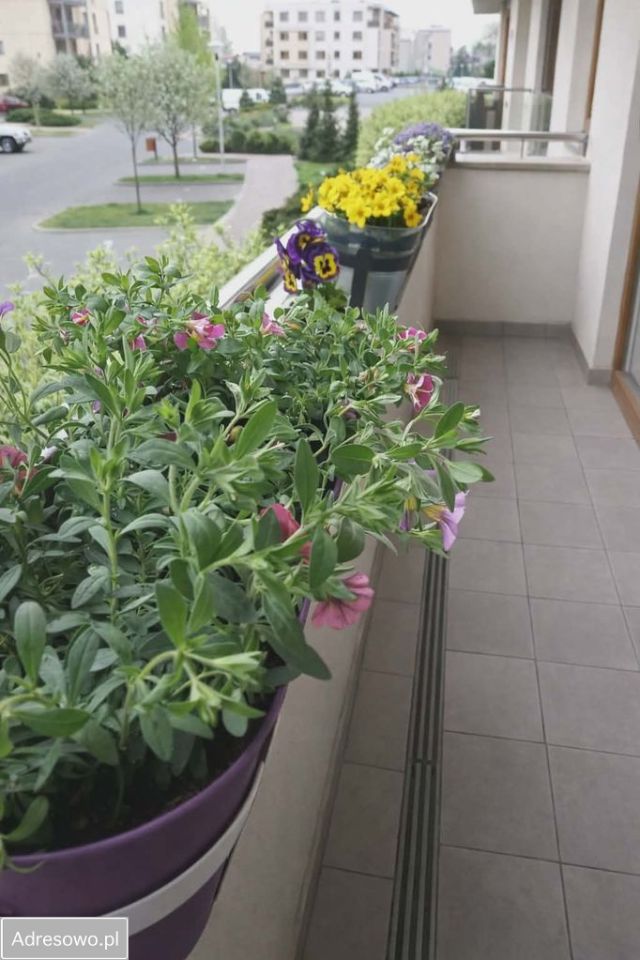 Mieszkanie 2-pokojowe Warszawa Targówek, ul. św. Wincentego. Zdjęcie 8