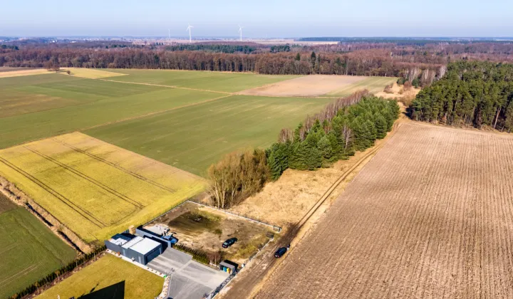 Działka budowlana Rogoźno, ul. Brzozowa