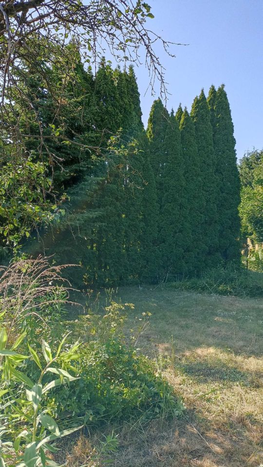 Działka rod Poznań Jeżyce, ul. Bukowska. Zdjęcie 6