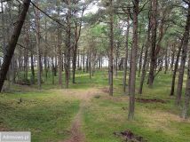 Działka inwestycyjna Ulinia Dymnica. Zdjęcie 3