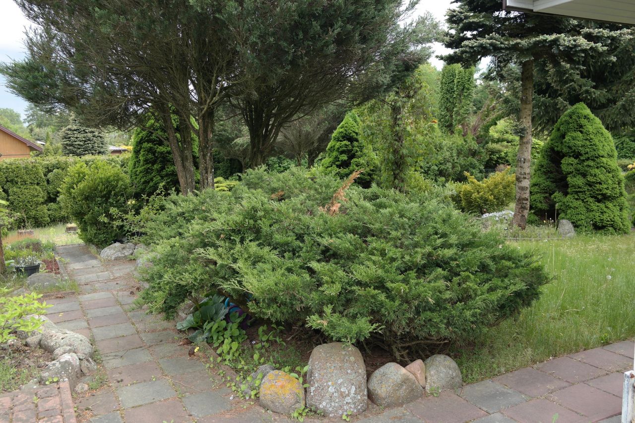 Działka rod Niewodnica Kościelna, ul. Działkowców. Zdjęcie 31