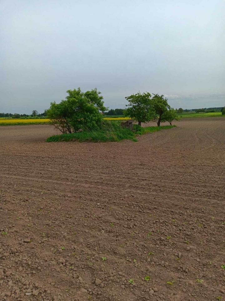 Działka budowlana Stabrów. Zdjęcie 4