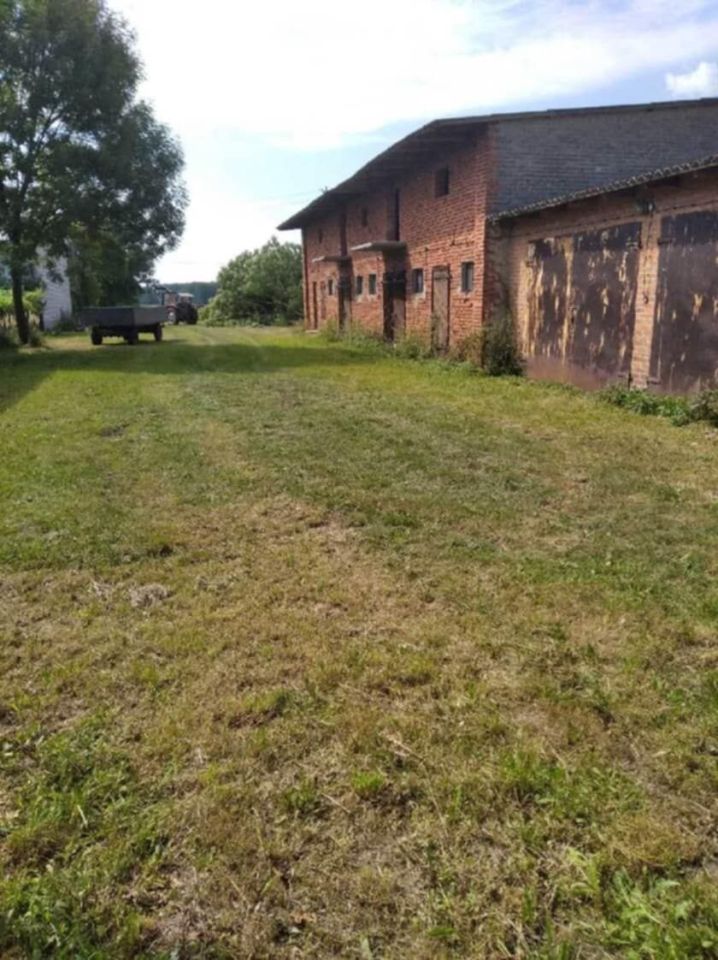 Działka rolno-budowlana Dąbrowa. Zdjęcie 4