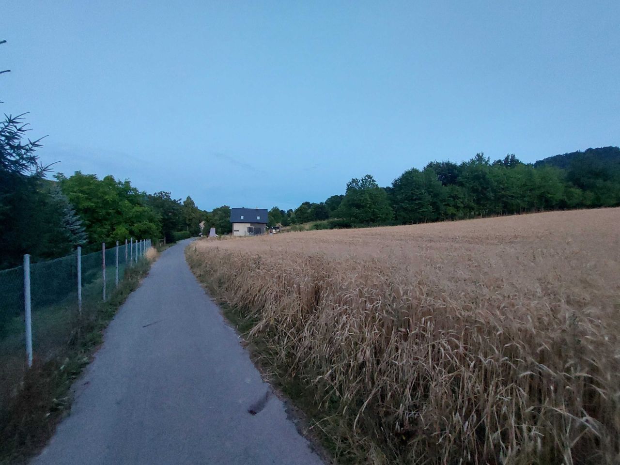 Działka budowlana Płoszczyna. Zdjęcie 2