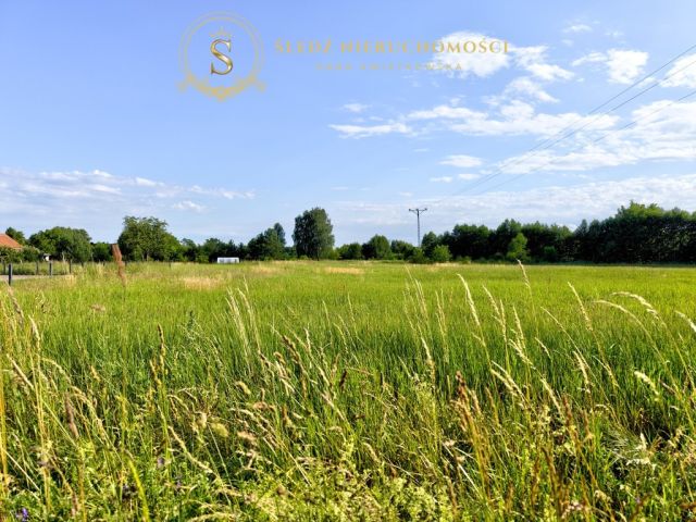 Działka budowlana Jodłowice. Zdjęcie 16