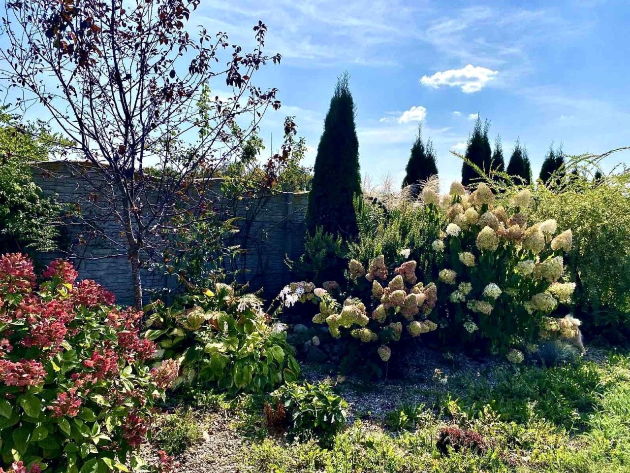 dom wolnostojący, 6 pokoi Jędrychówko. Zdjęcie 13