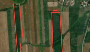 Działka leśna Charytany Zamiśnie