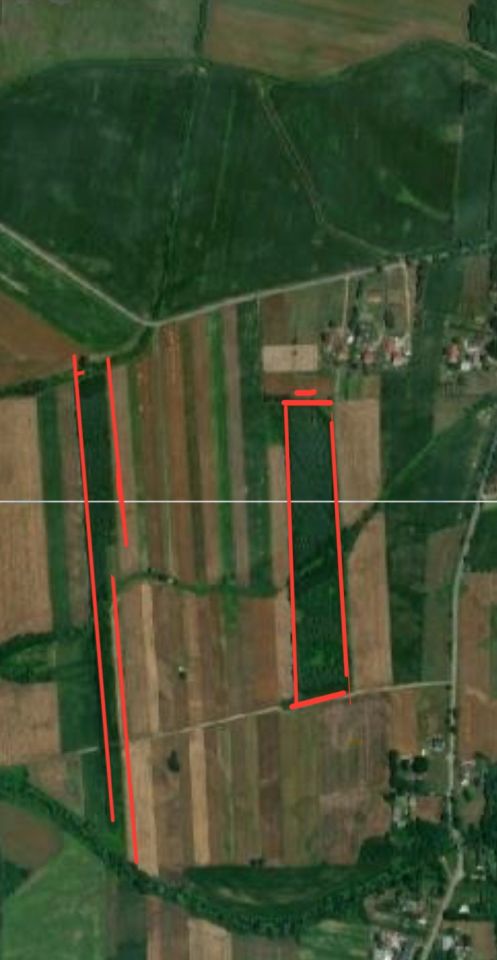 Działka leśna Charytany Zamiśnie. Zdjęcie 2