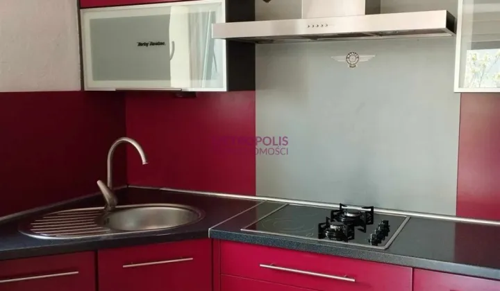 dom wolnostojący, 6 pokoi Rybnik Śródmieście