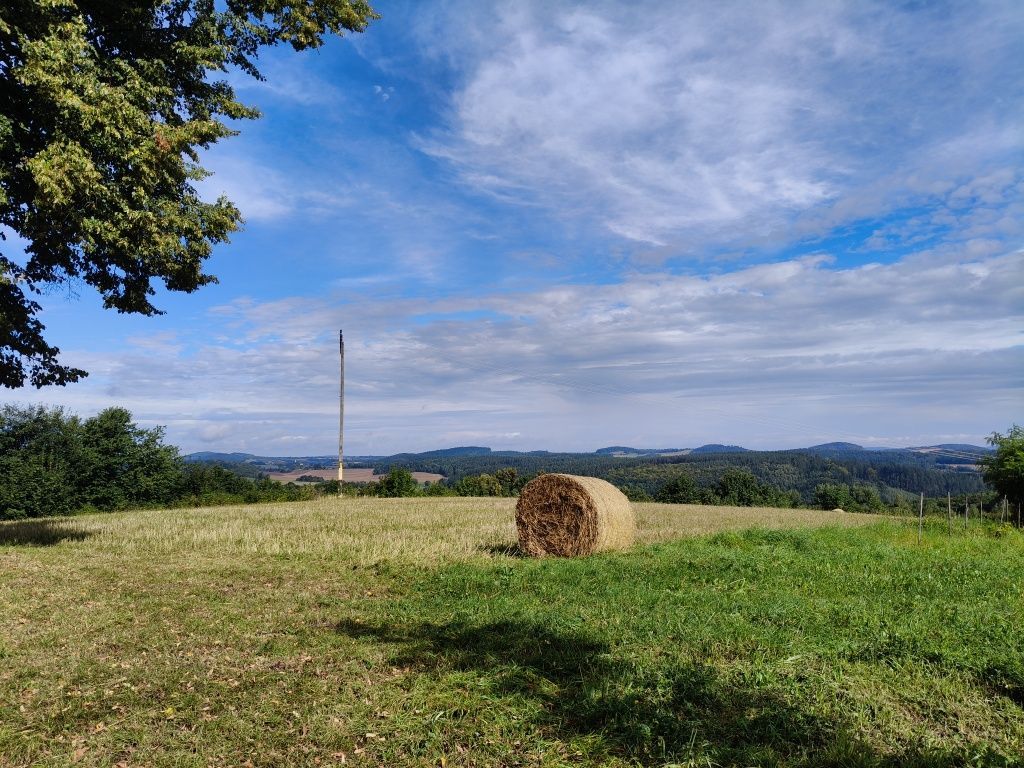 Działka rolna Klecza. Zdjęcie 2