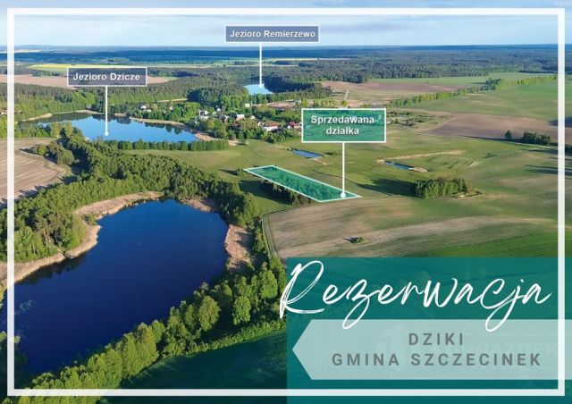 Działka budowlana Dziki. Zdjęcie 1