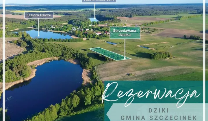 Działka budowlana Dziki