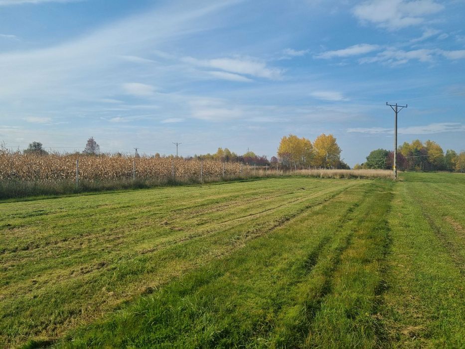Działka budowlana Bór. Zdjęcie 4