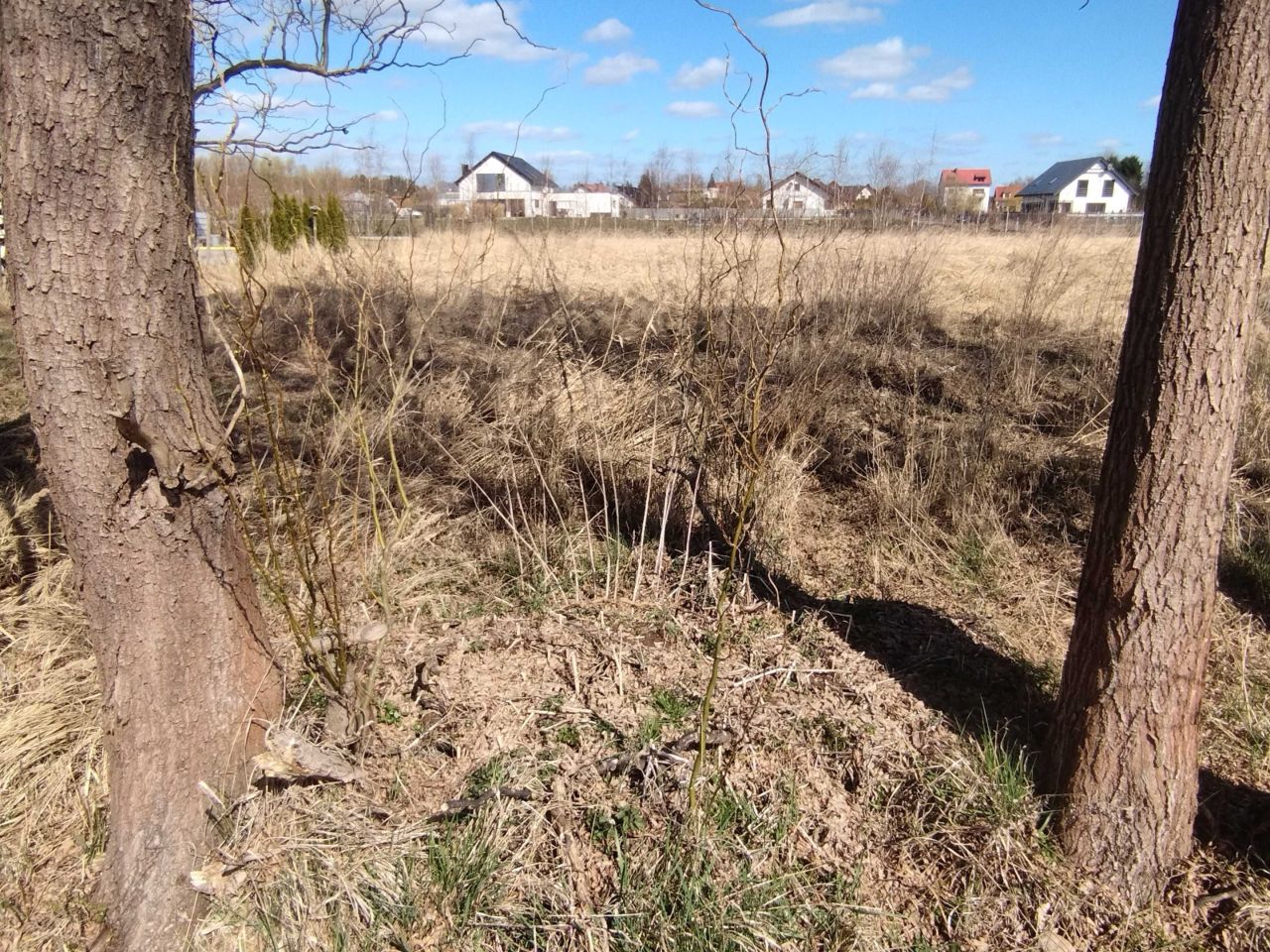 Działka budowlana Drezdenko, ul. Makowa. Zdjęcie 3