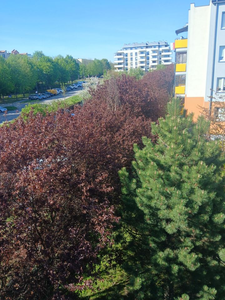 Mieszkanie 4-pokojowe Radom Gołębiów, ul. Stefanii Sempołowskiej. Zdjęcie 12