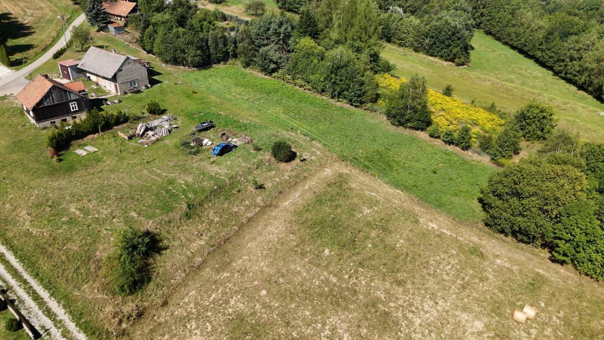 Działka inwestycyjna Dobranowice. Zdjęcie 10