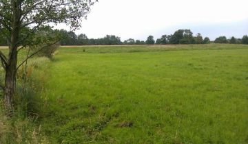Działka rolno-budowlana Gutowo