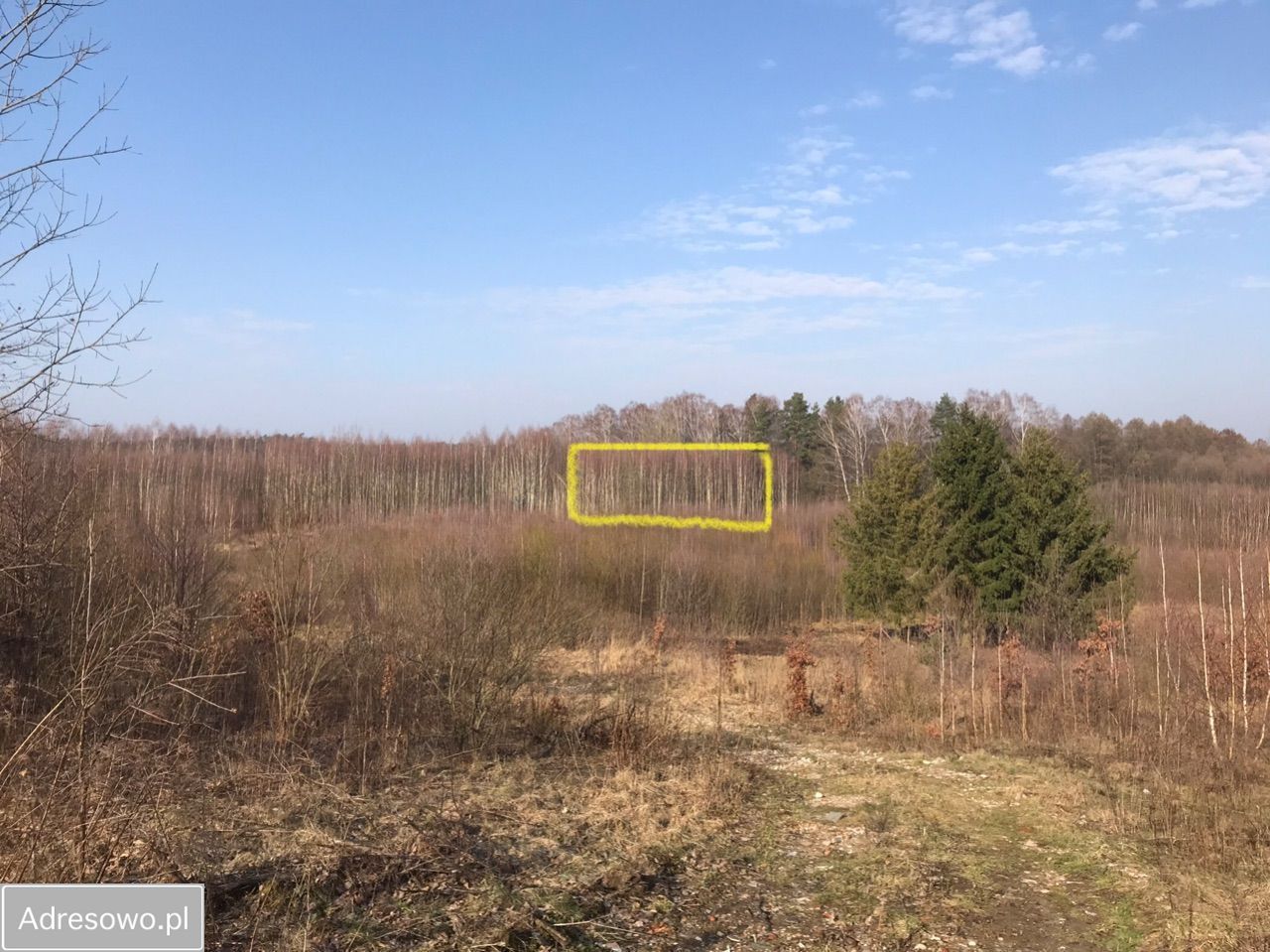 Działka budowlana Olsztyn Osiedle Generałów, ul. Majora Jana Piwnika. Zdjęcie 8