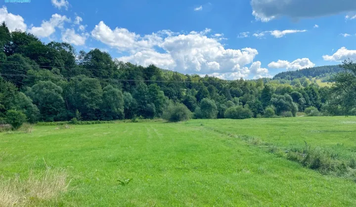 Działka inwestycyjna Polany