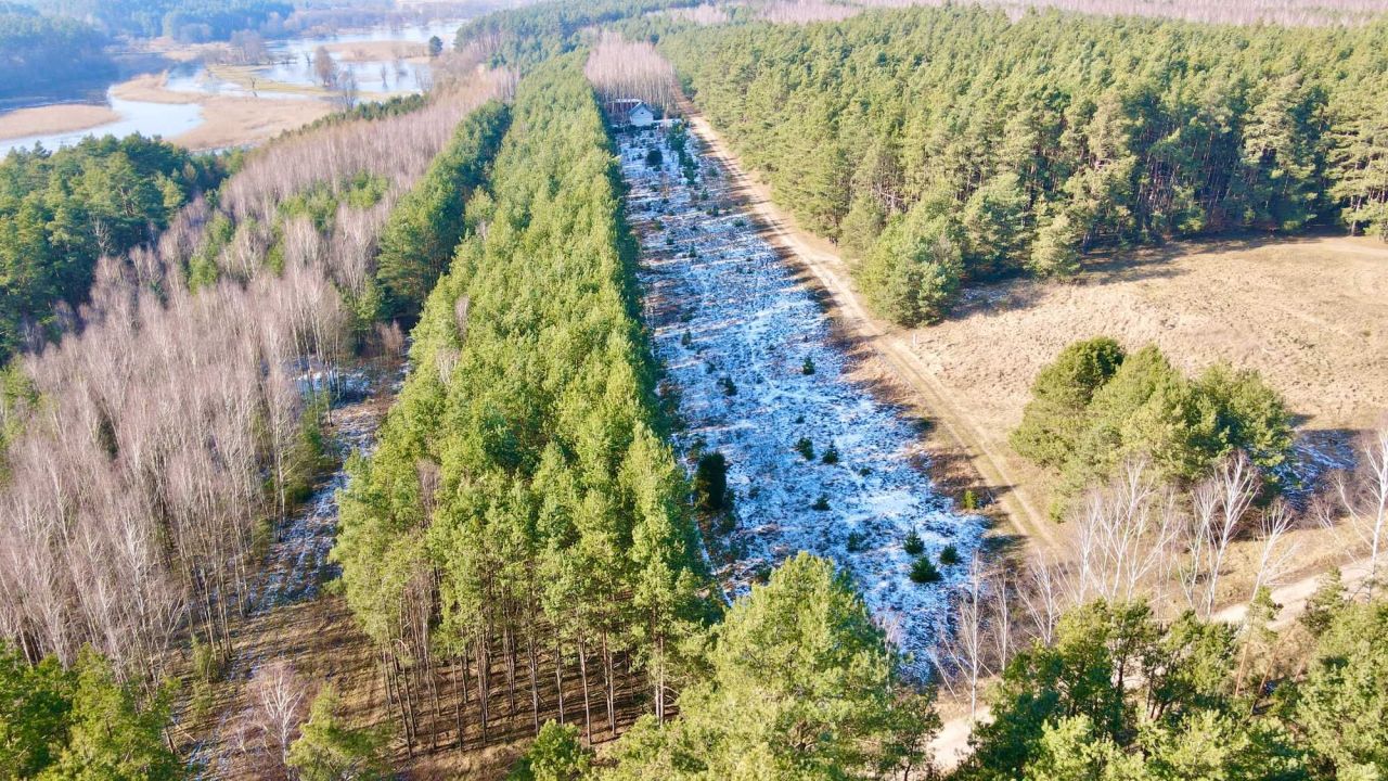 Działka budowlana Pokrzydowo. Zdjęcie 8