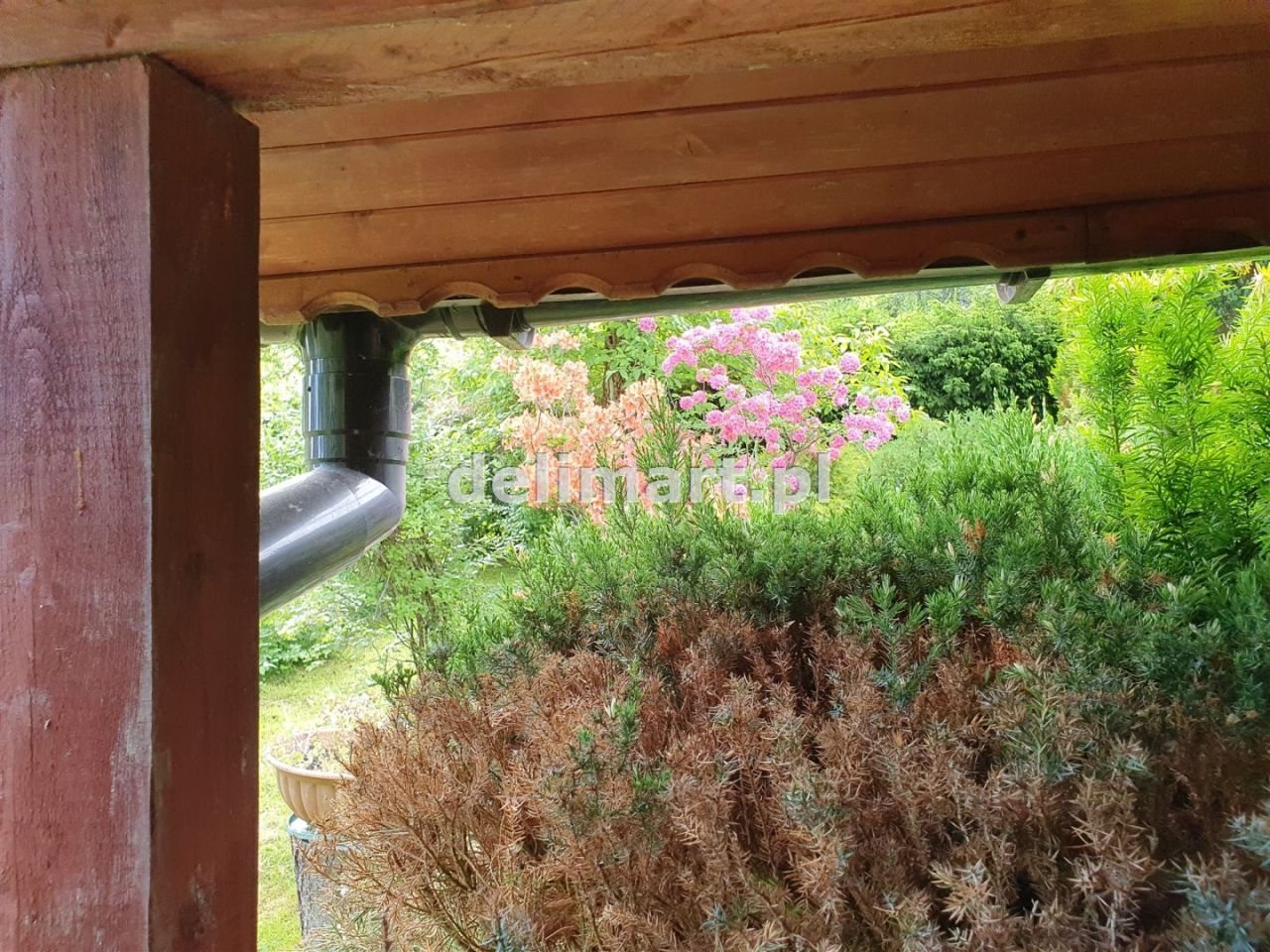 Działka rod Sanok Posada Sanocka, ul. Działkowa. Zdjęcie 7