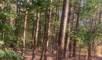 Działka leśna Apolonia, ul. Leśna