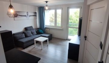 Mieszkanie 2-pokojowe Sosnowiec, ul. Dziewicza