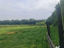 Działka budowlana Marchwacz. Zdjęcie 4