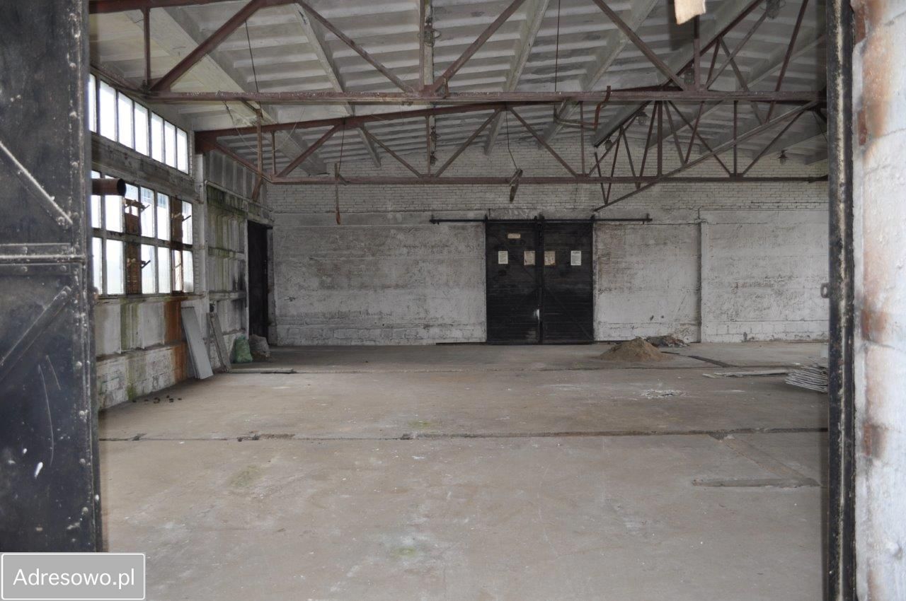 Hala/magazyn Płośnica. Zdjęcie 8