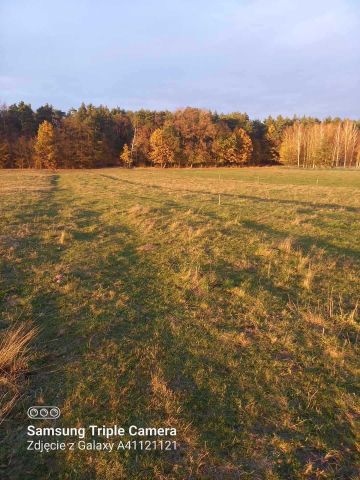 Działka budowlana Stare Załubice. Zdjęcie 1