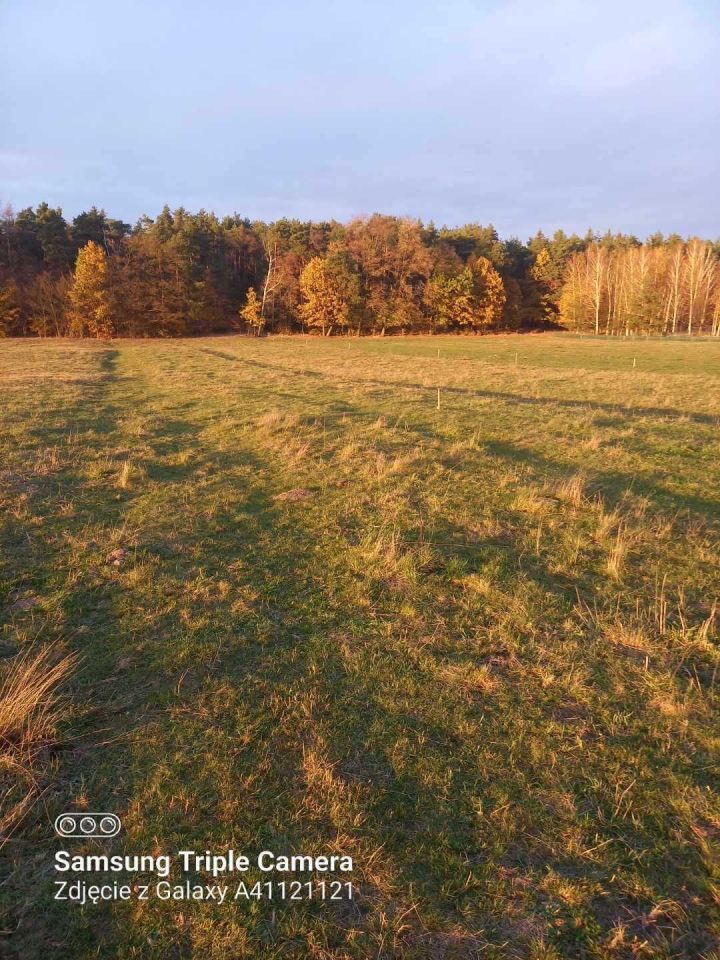 Działka budowlana Stare Załubice