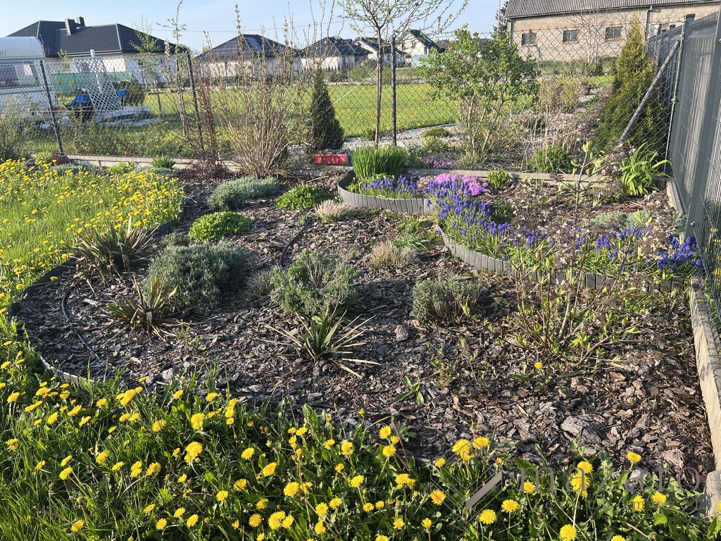 Działka budowlana Obrowo. Zdjęcie 3