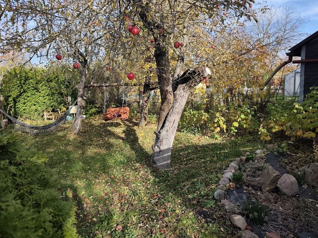 Działka rod Chełm. Zdjęcie 6