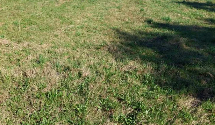 Działka rolna Piotrowice