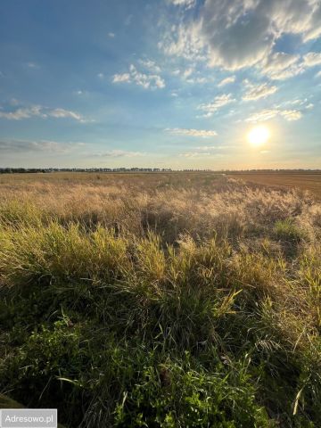 Działka rolno-budowlana Tomkowa. Zdjęcie 1