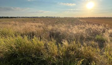 Działka rolno-budowlana Tomkowa