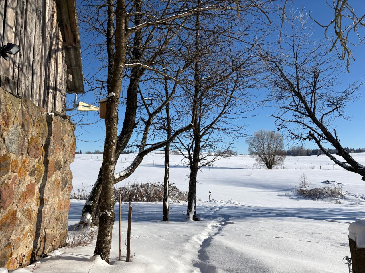 Działka siedliskowa Iwaniszki. Zdjęcie 10