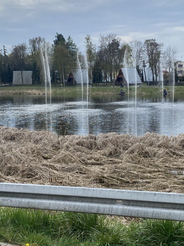 dom wolnostojący Września. Zdjęcie 5