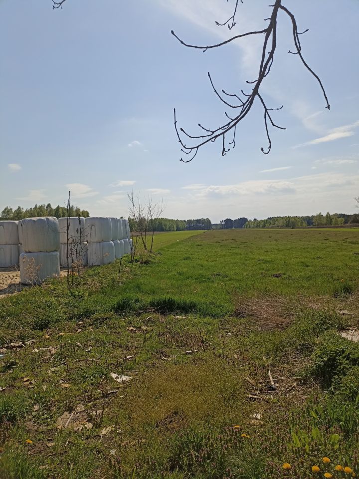 Działka rolna Nowe Ręczaje. Zdjęcie 4